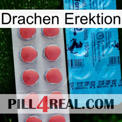 Dragon Erection new14